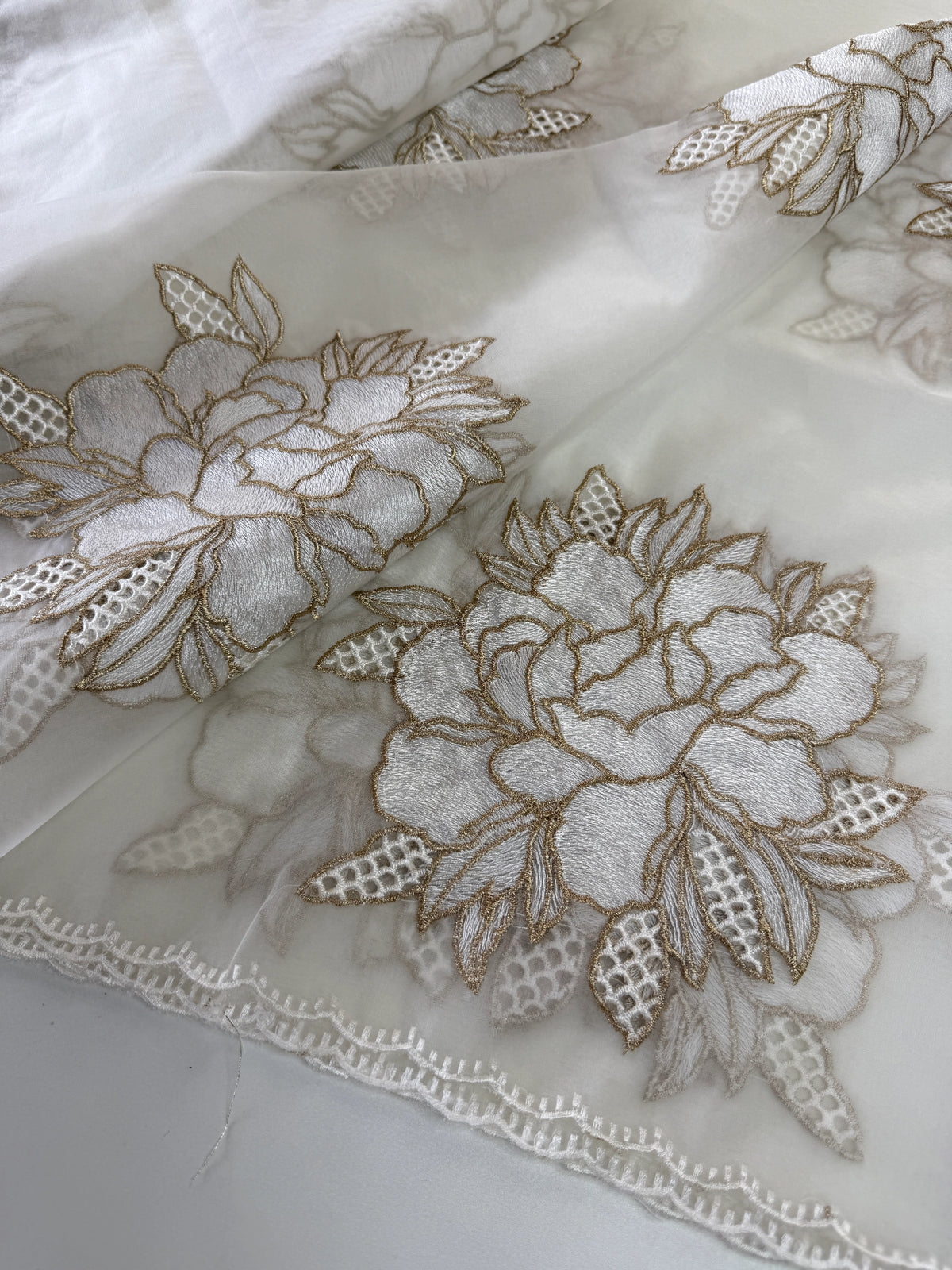 Soft organza saree/ CW766