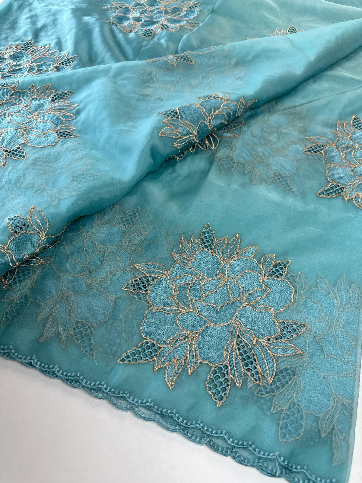 Soft organza saree/ CW766