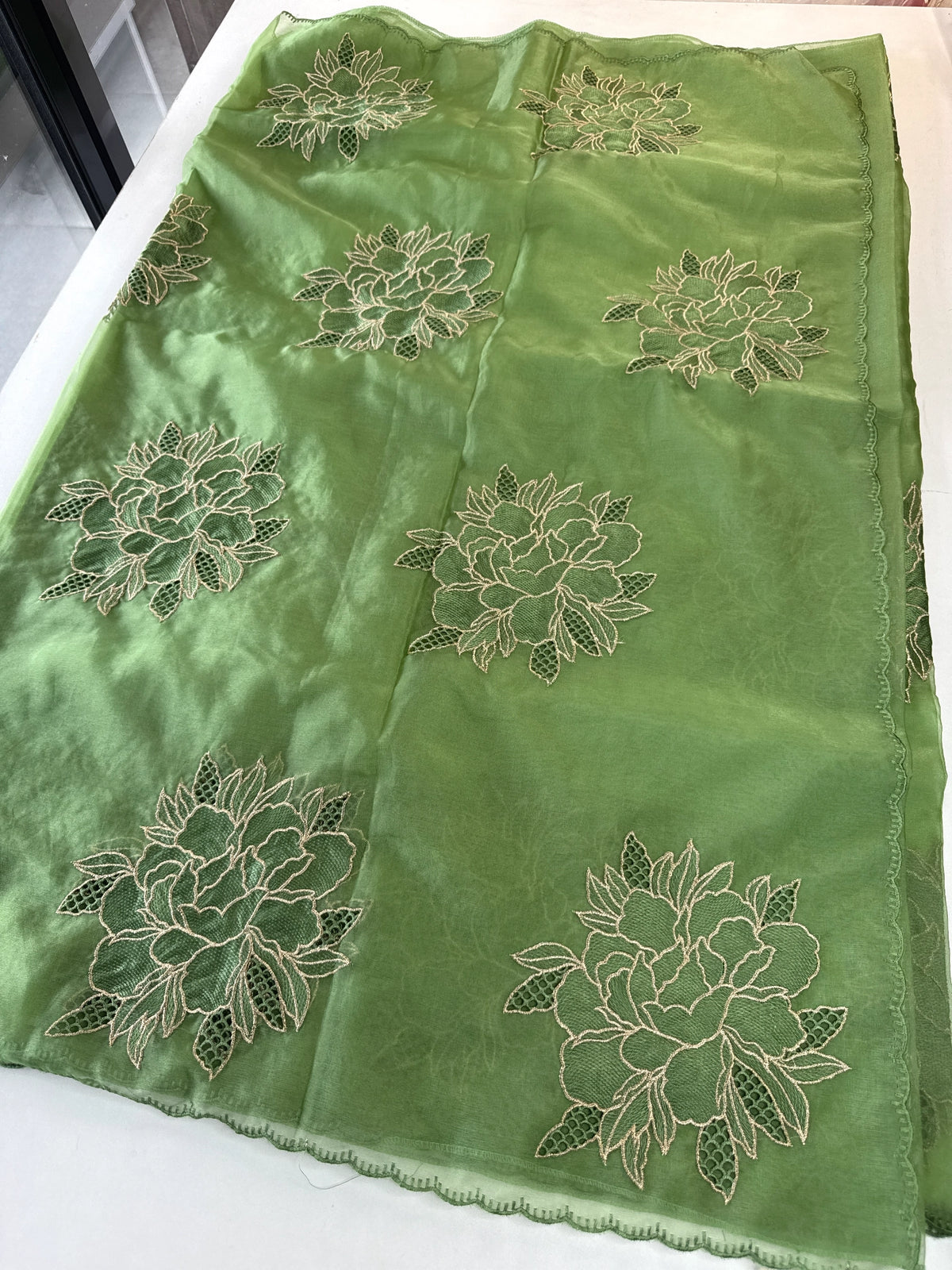 Soft organza saree/ CW766
