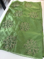 Soft organza saree/ CW766