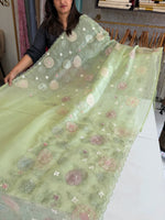 Organza Saree/ AM102