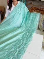 Soft Organza Saree/ W748