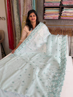 Organza Saree/ 6296