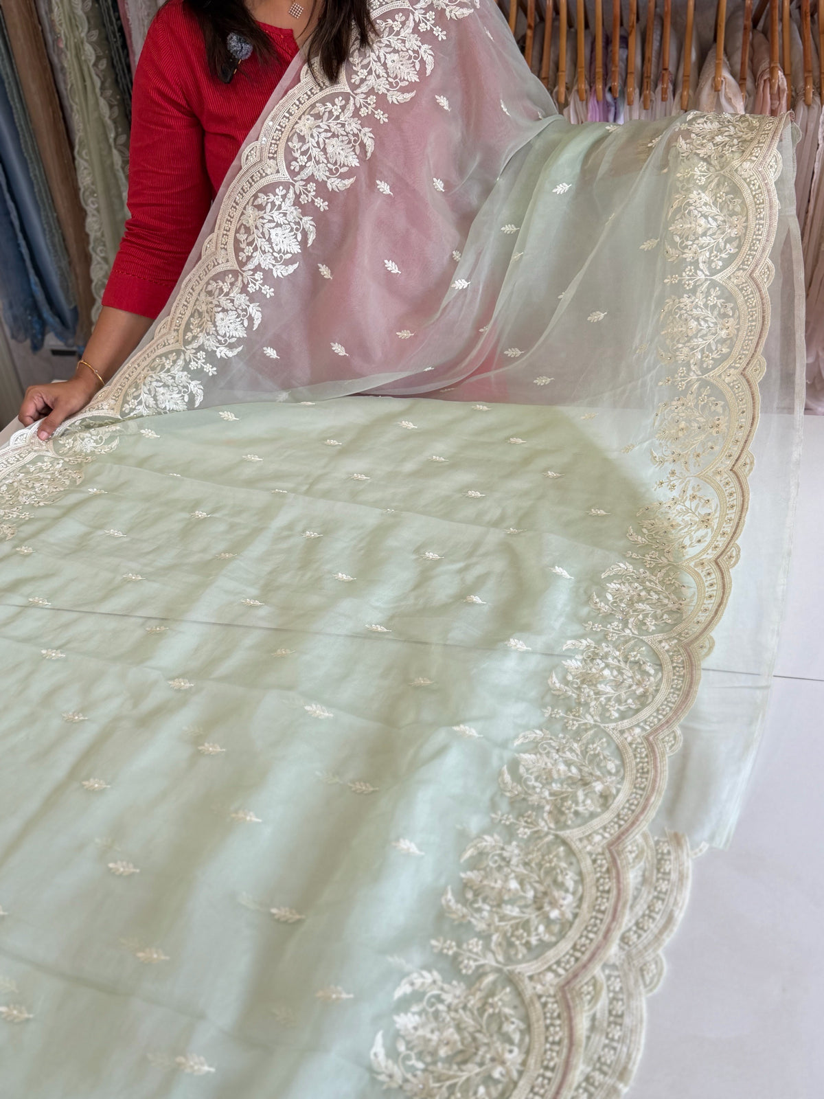 Soft organza saree/ AP299