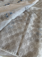 Tissue net kotta Saree/ K610