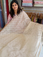 Tissue blended soft organza saree/ SH897