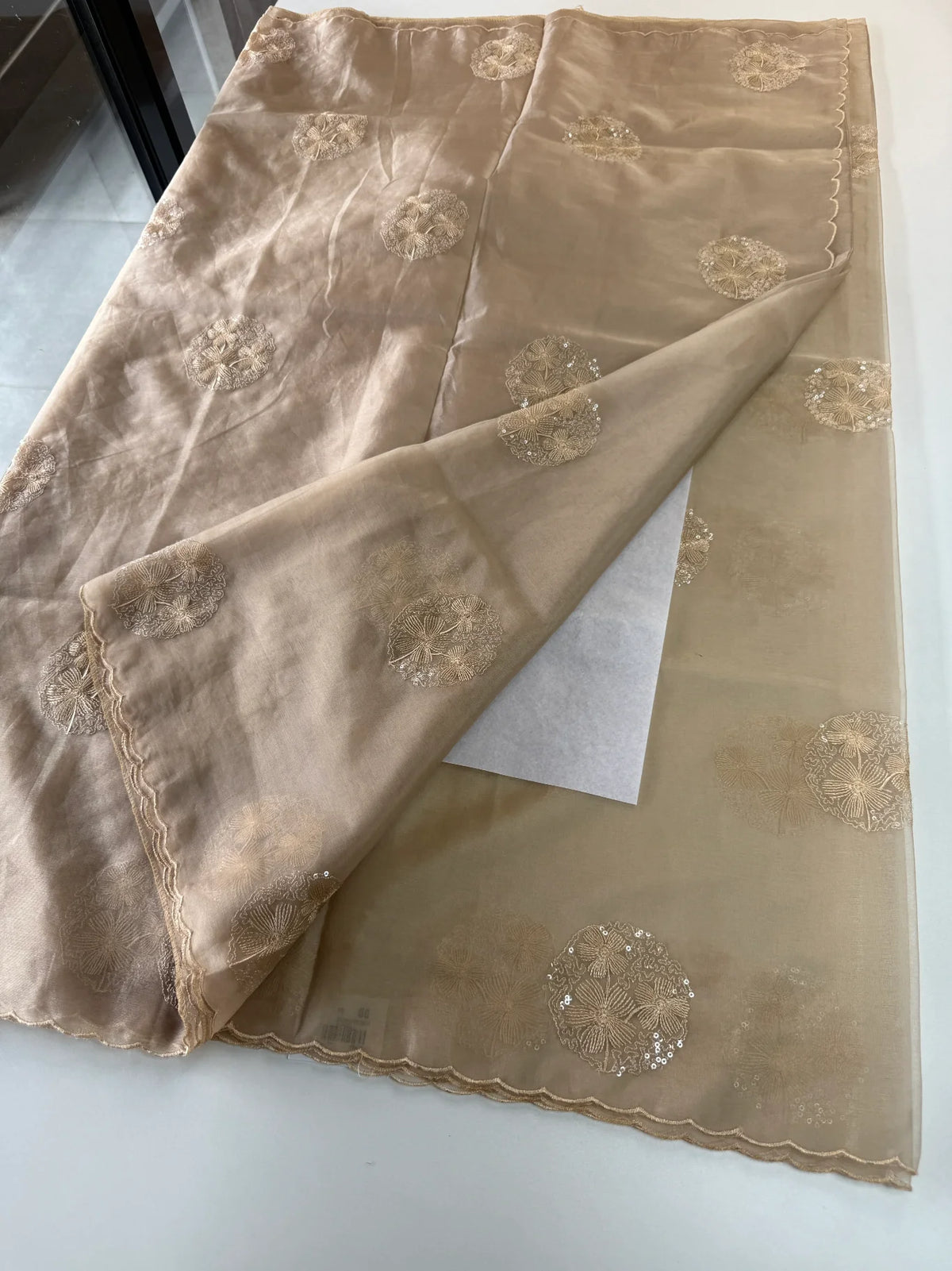 Soft organza saree/ CW038