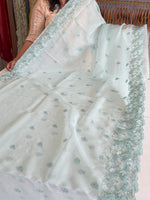 Organza Saree/ 6296