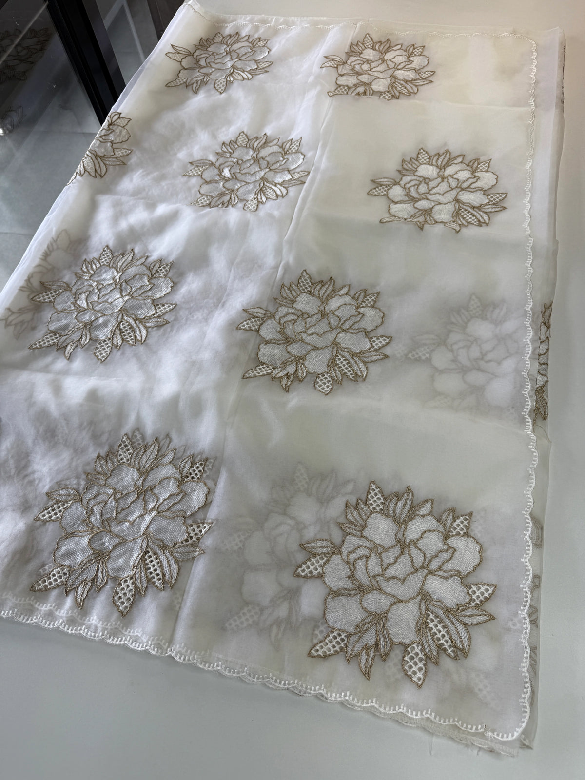 Soft organza saree/ CW766