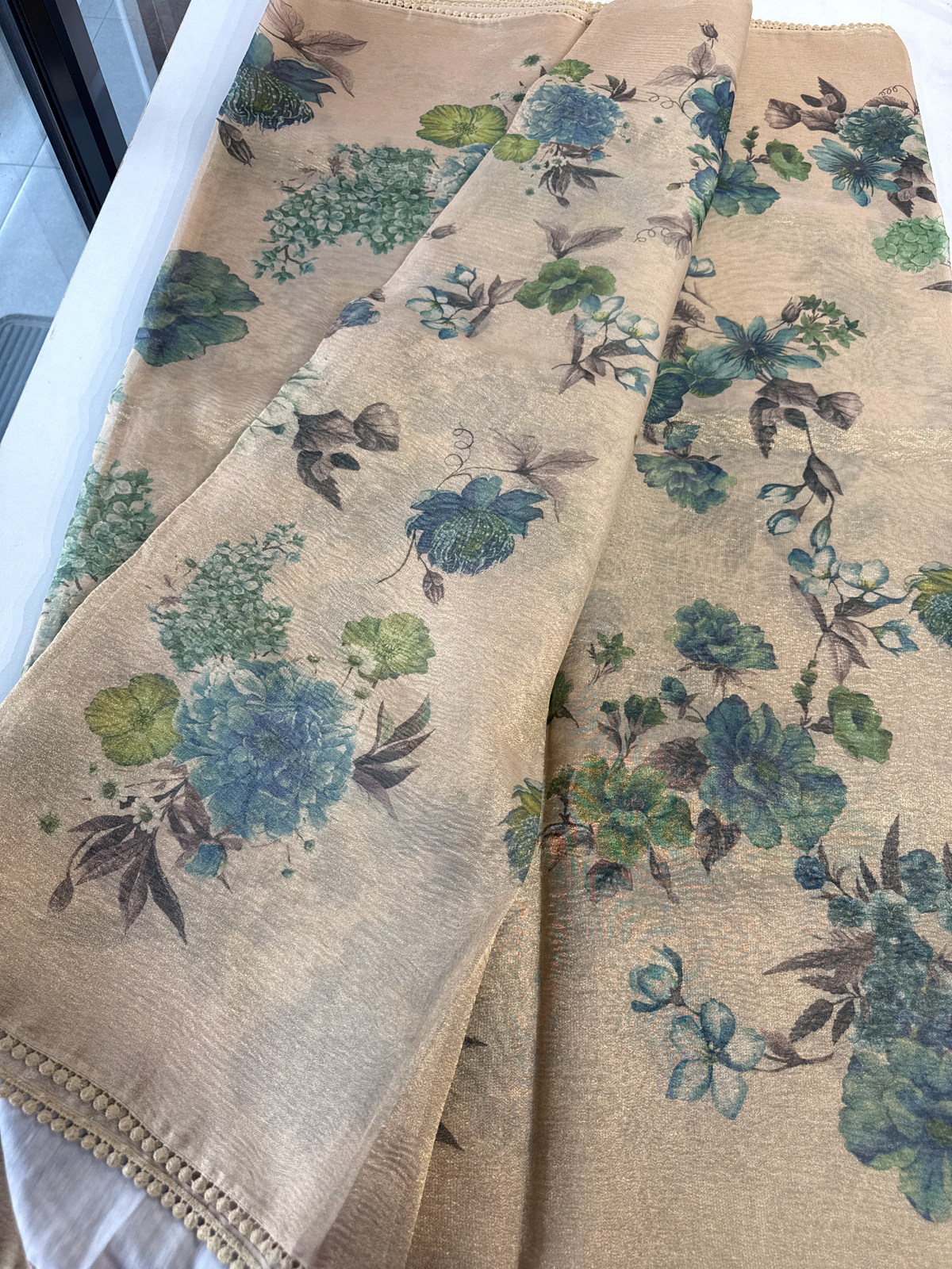 Tissue saree / BE01
