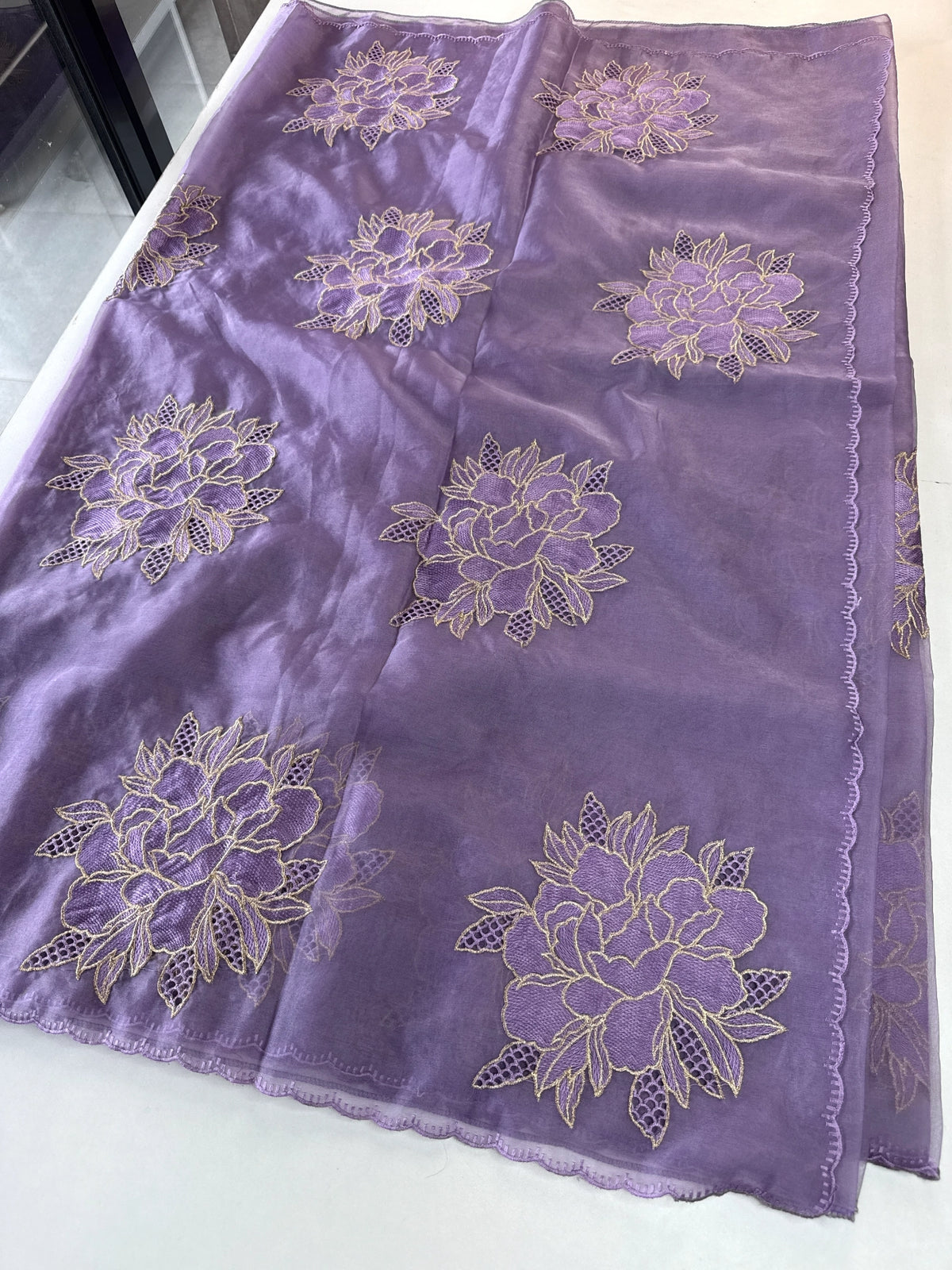 Soft organza saree/ CW766