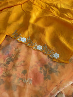 Party wear organza saree/ 3656