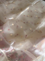 Glass Organza Saree/ 522A