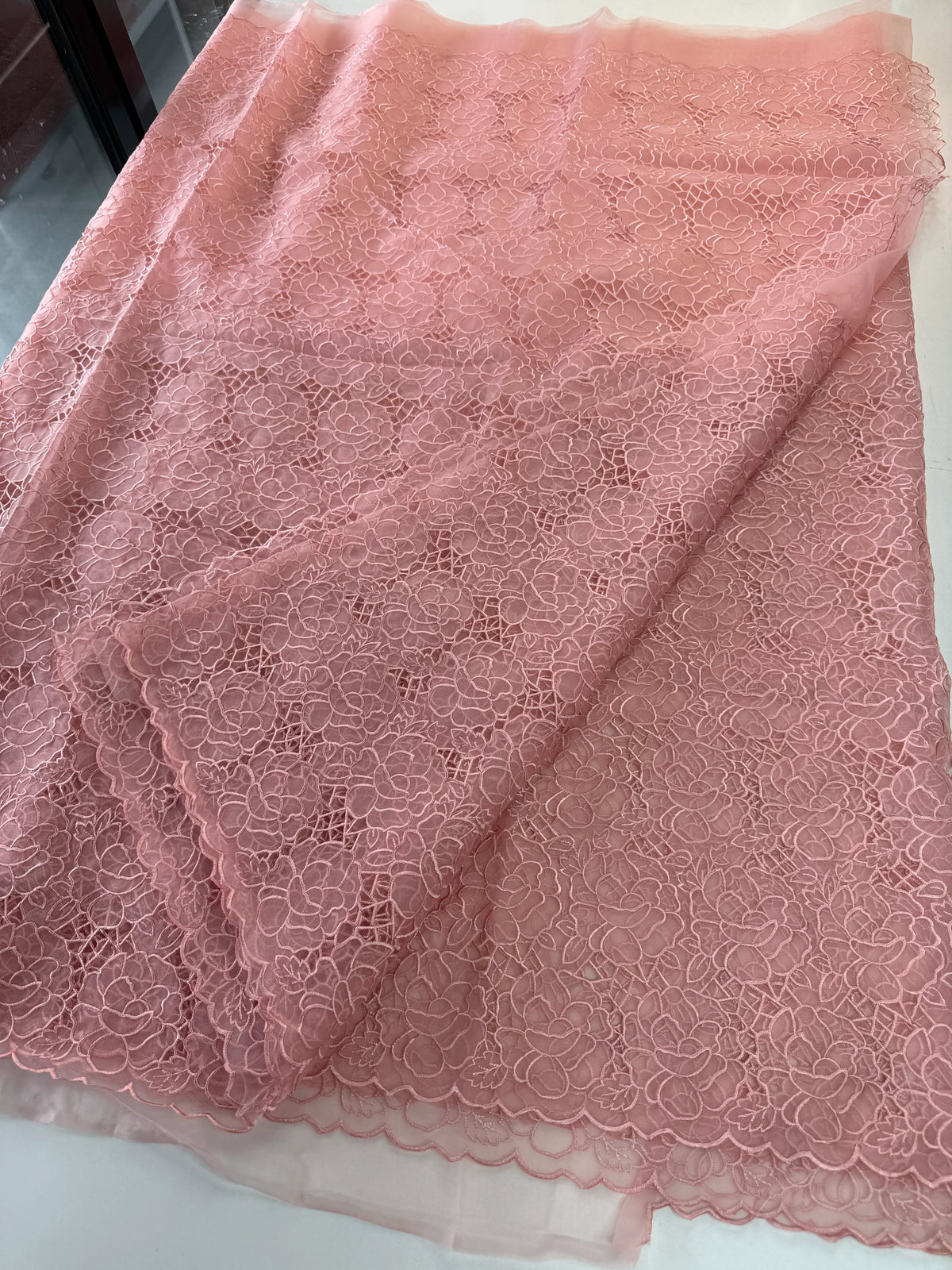 Soft Organza Saree/ AM103
