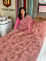 Organza Saree/ D215
