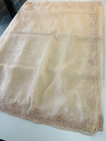 Shimmer organza / AM105