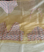 Korean Organza Saree/ 4176