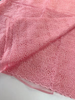 Soft Organza Saree/ AM103