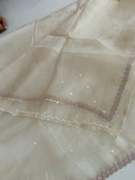 Premium shimmer organza saree/ SA266