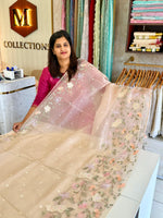 Glass organza Saree/ 155F