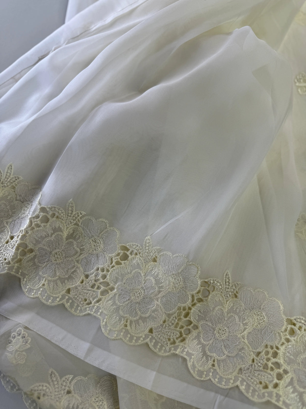 Organza Saree/ 6296
