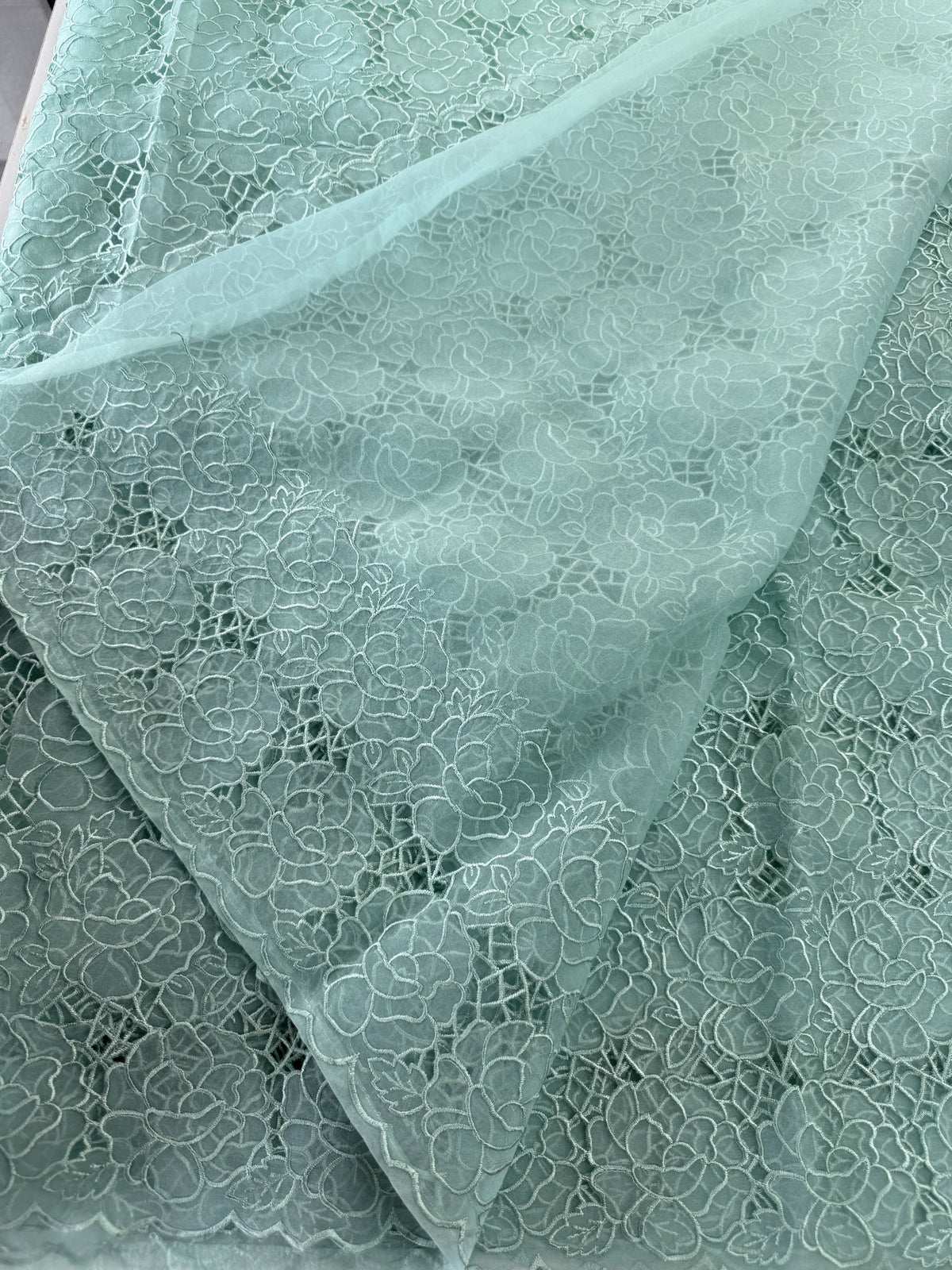 Soft Organza Saree/ AM103