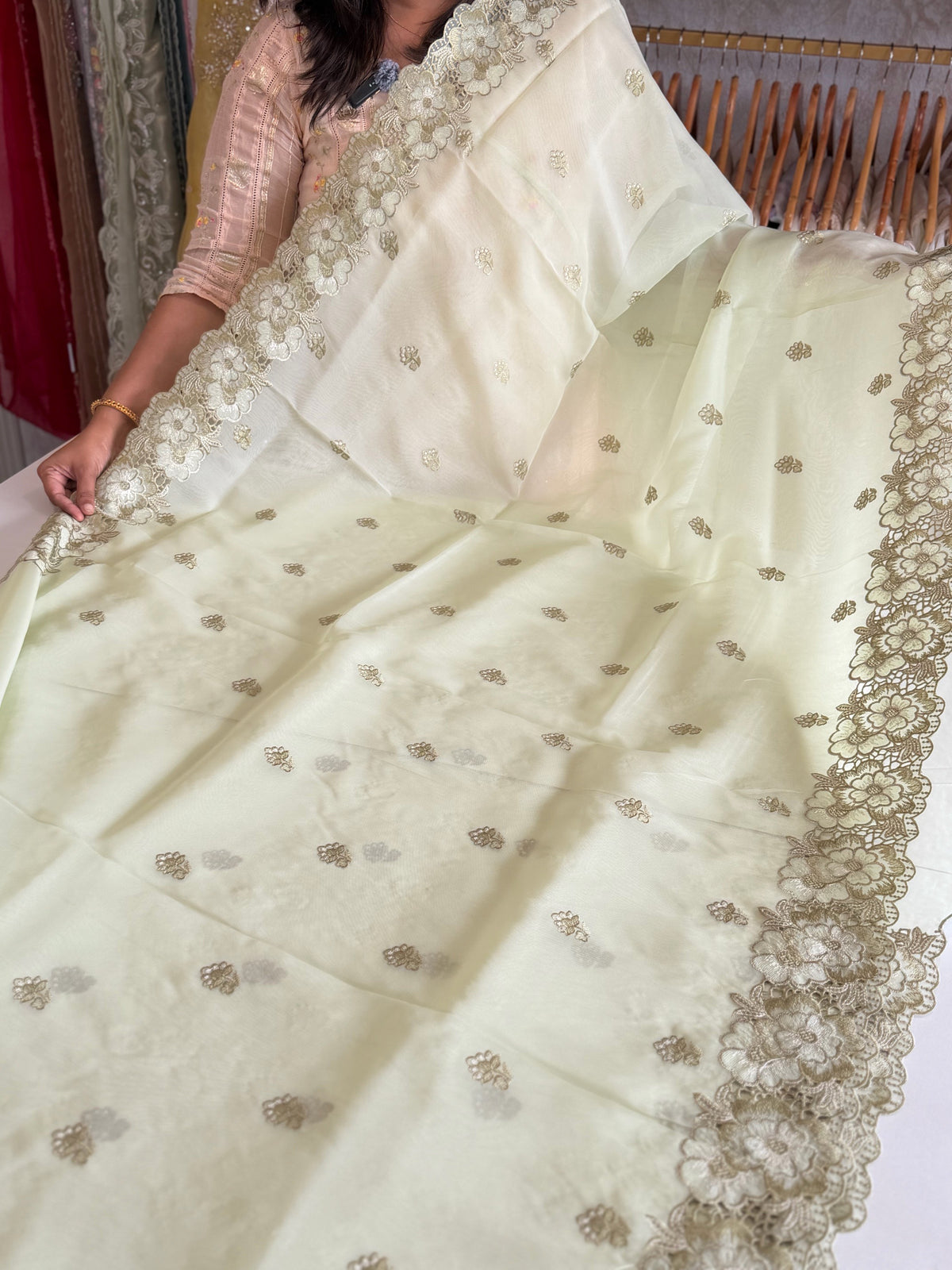 Organza Saree/ 6296