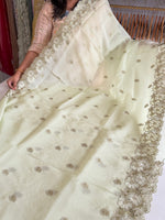 Organza Saree/ 6296