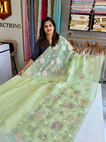 Organza Saree/ AM102