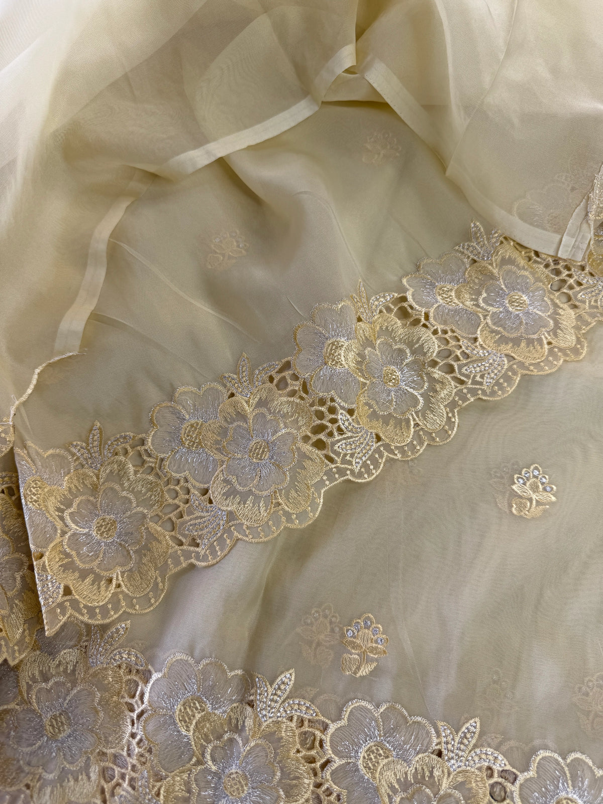 Organza Saree/ 6296