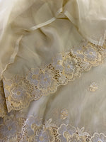 Organza Saree/ 6296
