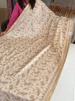 Soft semi Tussar saree/ GD505