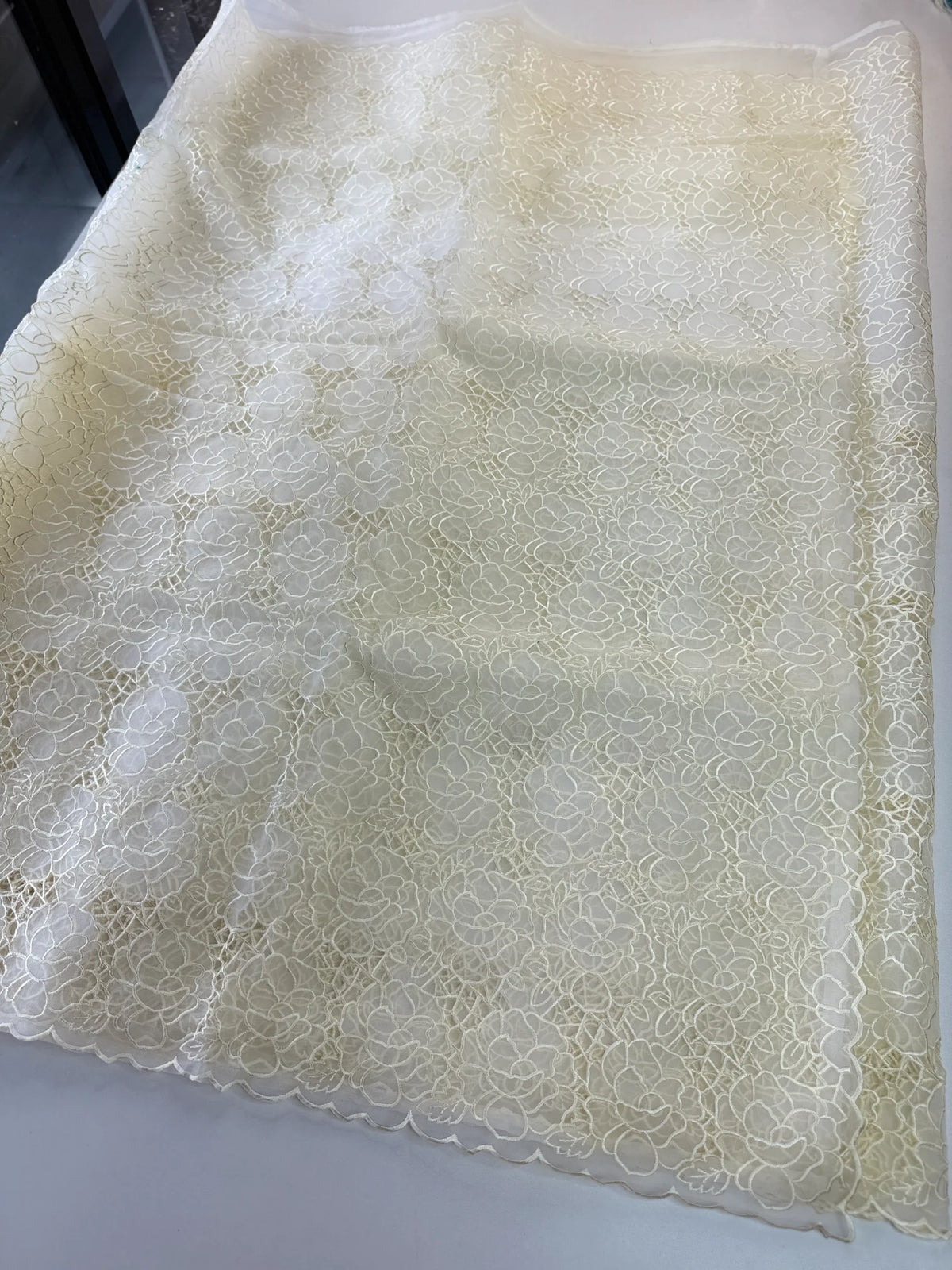 Soft Organza Saree/ AM103