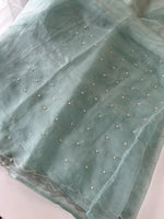 Glass Organza Saree/ AP1010