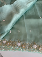 Glass organza party wear saree/ SA850
