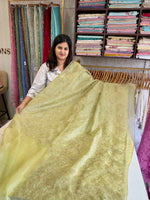 Koran organza saree/ CW858