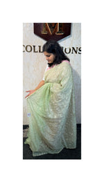 Blended Organza saree / WS94