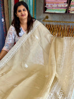 Viscous organza saree/ 3341