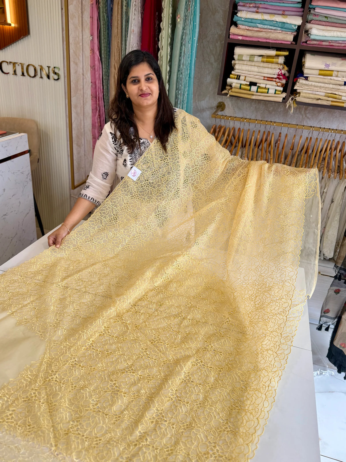 Soft Organza Saree/ AM103