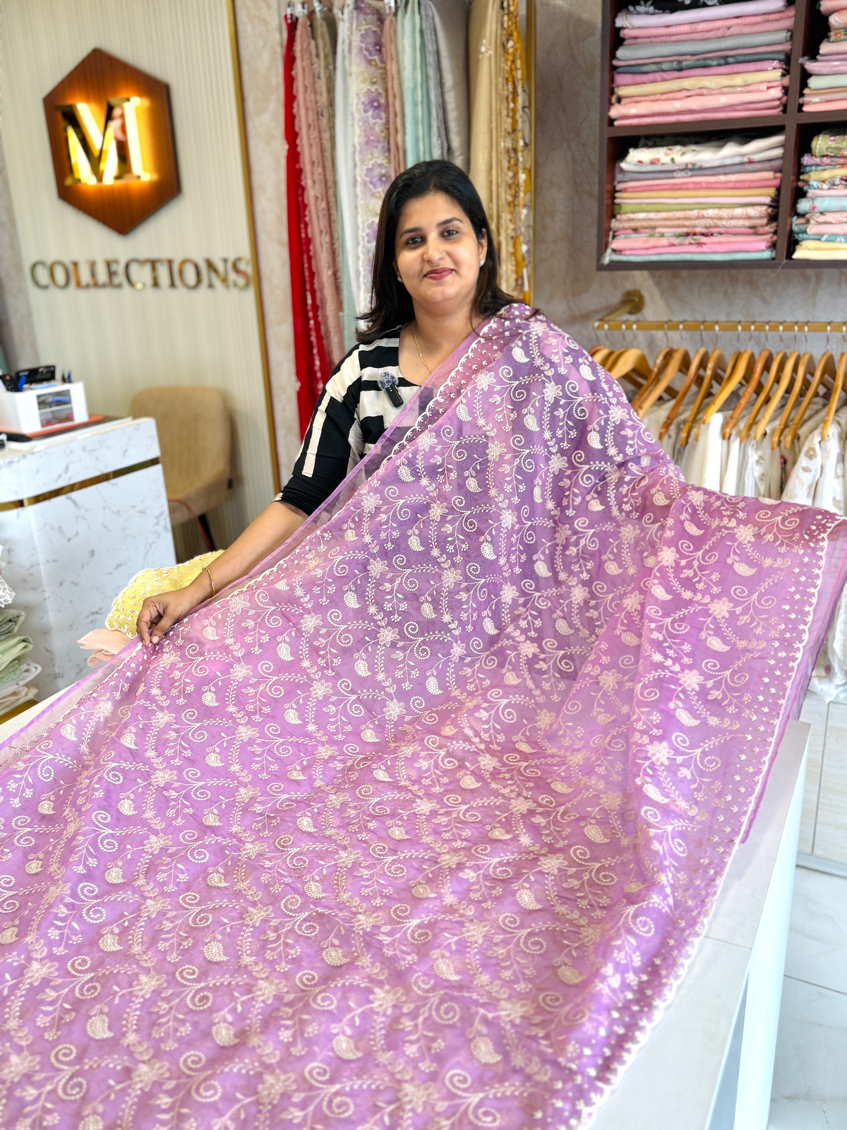 Soft Organza Saree / 221A