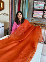 Satin Organza Saree/ AM108