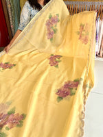 Chiffon saree/ HW409