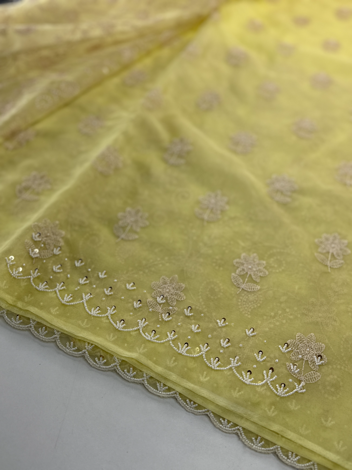 Soft Organza Saree / 221A