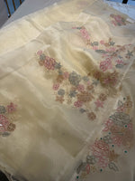 Glass organza saree/ AS762