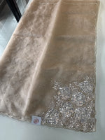 Glass Organza Saree/ AP1010