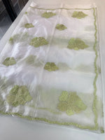 Soft organza saree/ CW865