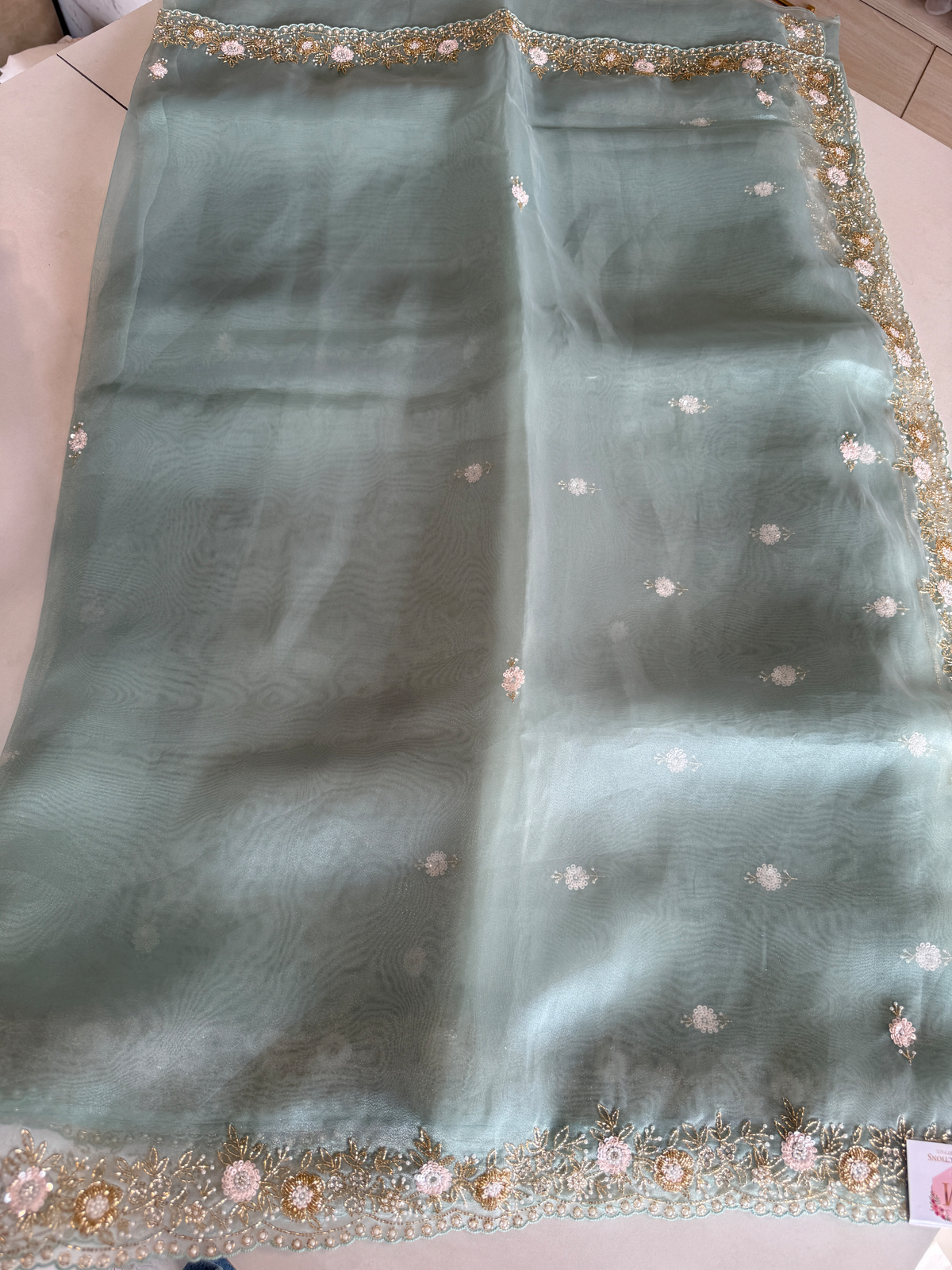 Glass organza party wear saree/ SA850