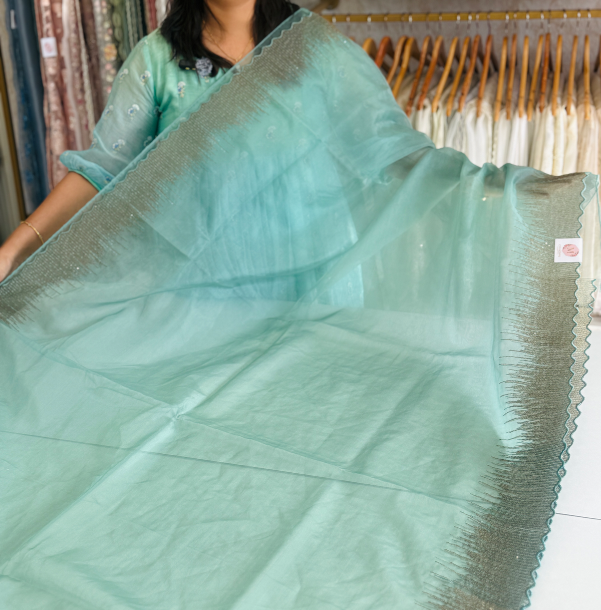 Soft organza saree/ CW296