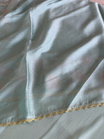 Chiffon Saree/ 288L