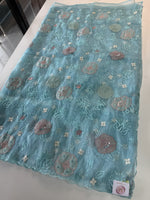 Organza Saree/ AM102